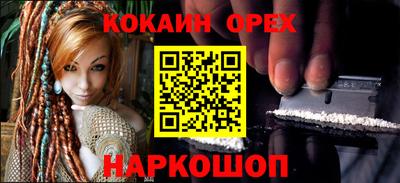 шишки Дубна