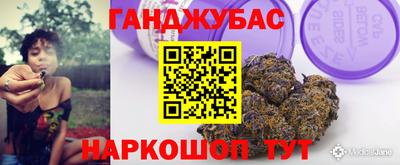 шишки Дубна