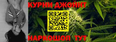 шишки Дубна