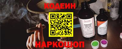 шишки Дубна
