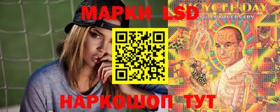 шишки Дубна