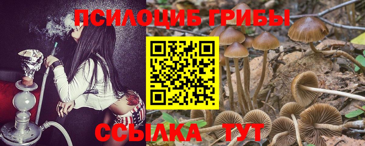 Псилоцибиновые грибы мицелий  Вход с VPN  Кольчугино 