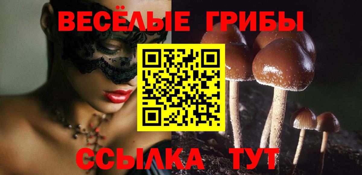 Галлюциногенные грибы ЛСД Кольчугино
